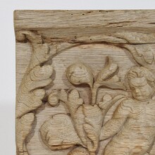 Carved oak panel depicting an angel on an acanthus curl, France circa 1750