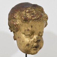 Carved giltwood baroque angel head, France circa 1650-1750