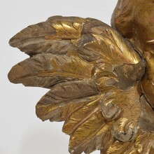 Baroque carved giltwood winged angel head, France circa 1700-1750