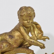 Carved giltwood baroque angel on curl ornament, Italy circa 1750