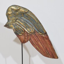 Large carved wooden wing of a baroque angel , Italy circa 1750