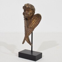 Small carved wood winged angel head, France circa 1800-1850