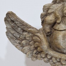 baroque carved oak angel head on wings, France circa 1650-1750