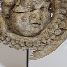 baroque carved oak angel head on wings, France circa 1650-1750