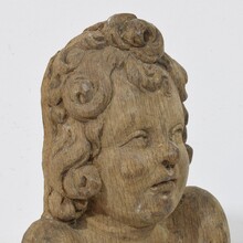 Baroque carved oak angel head on wings, France circa 1650-1700