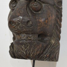 Carved wooden lion head, France circa 1650-1750