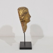 Baroque carved giltwood angel head on wings, Italy circa 1750