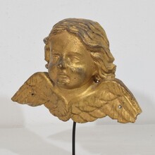 Baroque carved giltwood angel head on wings, Italy circa 1750