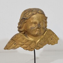 Baroque carved giltwood angel head on wings, Italy circa 1750