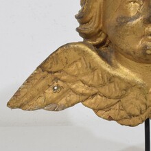 Baroque carved giltwood angel head on wings, Italy circa 1750