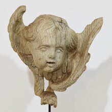 Baroque carved oak angel head on wing, France circa 1750