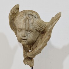 Baroque carved oak angel head on wing, France circa 1750