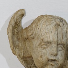 Baroque carved oak angel head on wing, France circa 1750