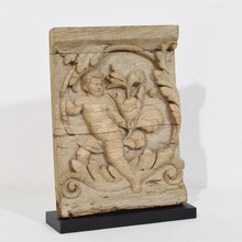 Carved oak panel depicting an angel on an acanthus curl, France circa 1750