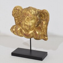 Baroque carved giltwood angel head on wings, Italy circa 1750