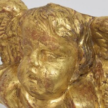 Baroque carved giltwood angel head on wings, Italy circa 1750
