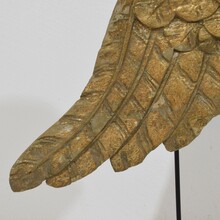 Carved wooden wing of a baroque angel, Italy circa 1750