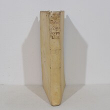 Amazing collection of weathered vellum books