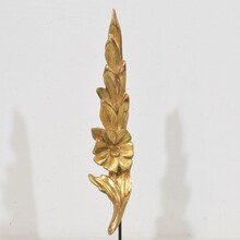 Antique carved wood baroque style ornaments, Italy circa 1850