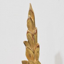 Antique carved wood baroque style ornaments, Italy circa 1850