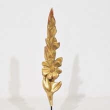 Antique carved wood baroque style ornaments, Italy circa 1850