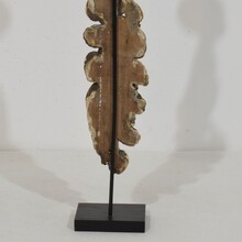 Collection neoclassical carved wooden ornaments, France circa 1780