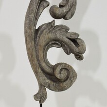 Hand carved oak curl ornament, France circa 1650-1750