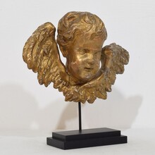 Baroque carved giltwood winged angel head, France circa 1700-1750