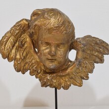 Baroque carved giltwood winged angel head, France circa 1700-1750