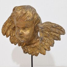 Baroque carved giltwood winged angel head, France circa 1700-1750