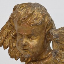 Baroque carved giltwood winged angel head, France circa 1700-1750