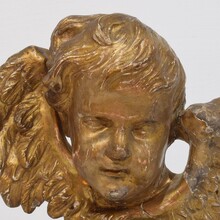 Baroque carved giltwood winged angel head, France circa 1700-1750