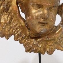 Baroque carved giltwood winged angel head, France circa 1700-1750