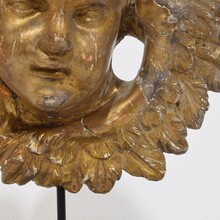 Baroque carved giltwood winged angel head, France circa 1700-1750