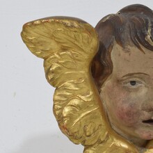 Hand carved baroque winged angel head, France circa 1750