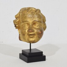 Carved giltwood baroque angel head, Italy circa 1650-1750