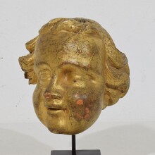 Carved giltwood baroque angel head, Italy circa 1650-1750