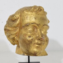 Carved giltwood baroque angel head, Italy circa 1750