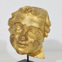 Carved giltwood baroque angel head, Italy circa 1750