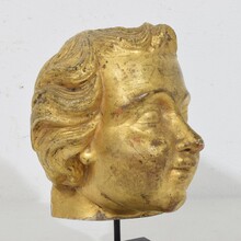 Carved giltwood baroque angel head, Italy circa 1750