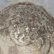 Carved stone cherub fountain head on marble panel, Italy circa 1650-1750