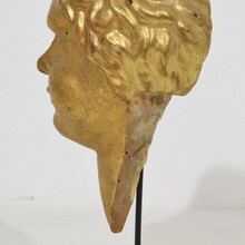 Carved giltwood baroque angel head, Italy circa 1750