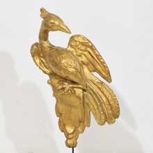 Carved giltwood neoclassical style bird ornament, Italy circa 1780