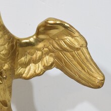 Gilded paper mache dove/ holy spirit, Italy circa 1750