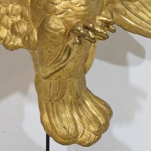 Gilded paper mache dove/ holy spirit, Italy circa 1750