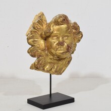 Hand carved baroque winged angel head fragment, Italy circa 1750