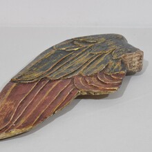 Large carved wooden wing of a baroque angel, Italy circa 1750