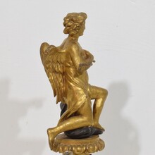 Giltwood neoclassical angel, Italy circa 1780-1820