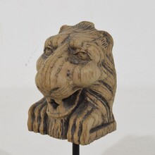 Small carved oak lion fragment, France circa 1650-1750