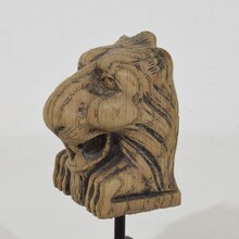 Small carved oak lion fragment, France circa 1650-1750